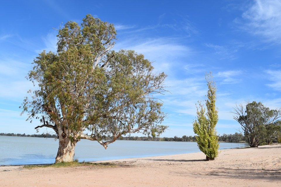 Lake Benanee