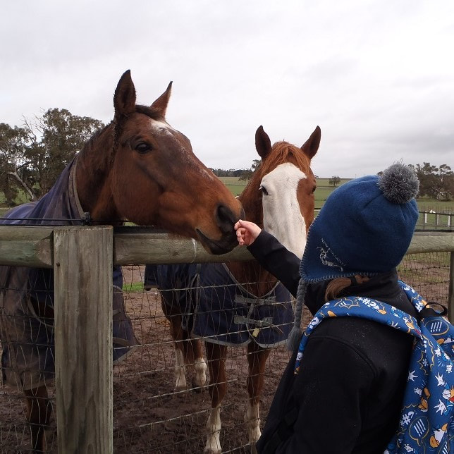 Rogan Josh & Apache Cat