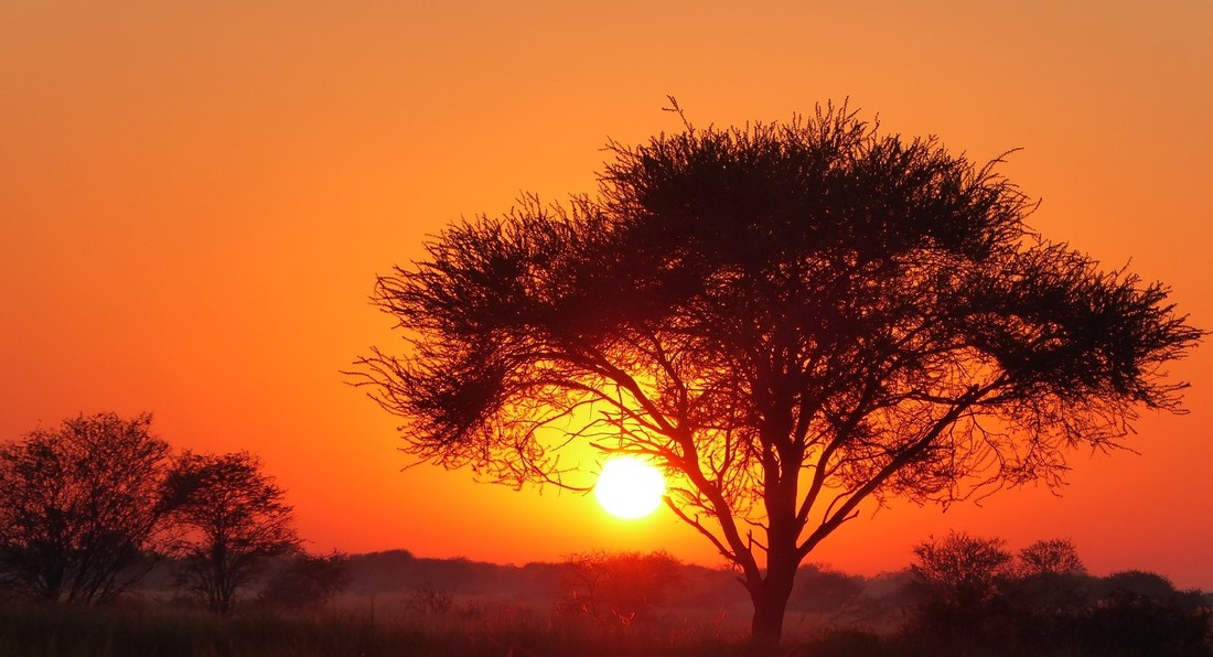 Sunrise