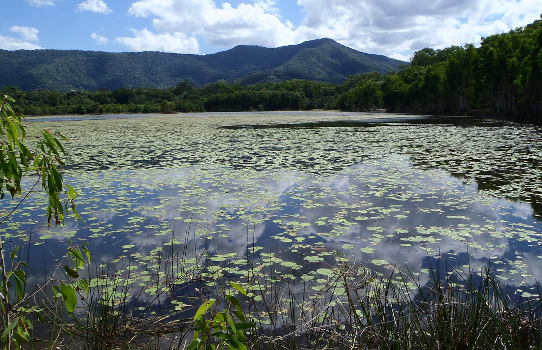 Cattana Wetlands 