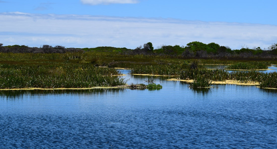 Piccaninnie Ponds