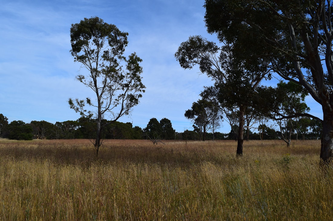 Hamilton Parklands