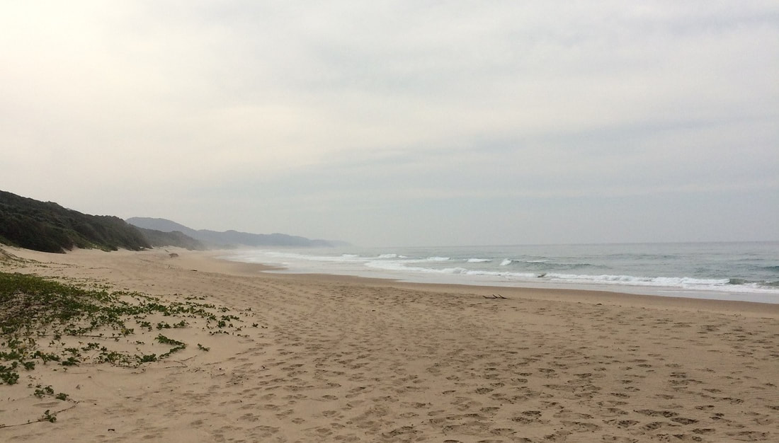 Indian Ocean